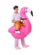 Надувной карнавальный костюм Всадник на фламинго FZ1666